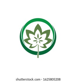 Canabis leaf vector illustration icon design