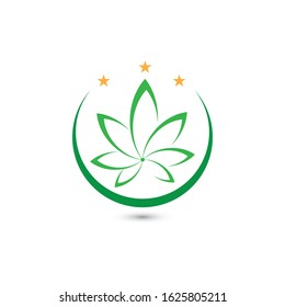 Canabis leaf vector illustration icon design