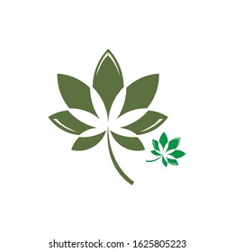 Canabis leaf vector illustration icon design