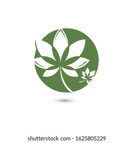 Canabis leaf vector illustration icon design