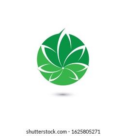 Canabis leaf vector illustration icon design