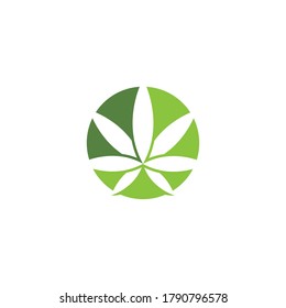 Carácter de símbolo vectorial de plantilla de logotipo de Canabis