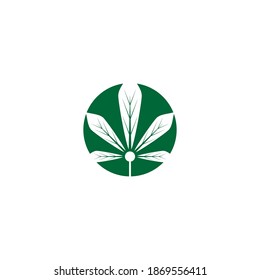 Carácter de símbolo vectorial de plantilla de logotipo de Canabis