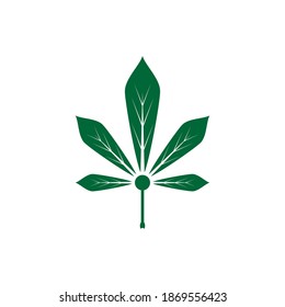 Carácter de símbolo vectorial de plantilla de logotipo de Canabis