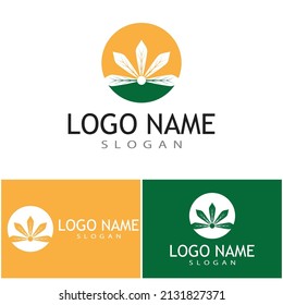 Carácter de símbolo vectorial de plantilla de logotipo de Canabis