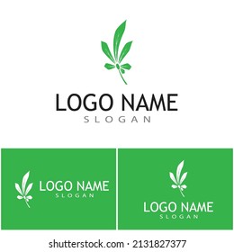 Carácter de símbolo vectorial de plantilla de logotipo de Canabis