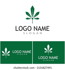 Carácter de símbolo vectorial de plantilla de logotipo de Canabis