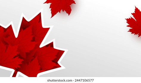 Canada day banner design of maple leaves on white background with copy space Vector illustration