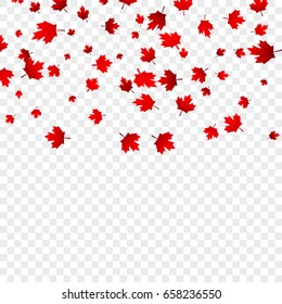 Canada Day maple leaves background. Falling red leaves for Canada Day 1st July.