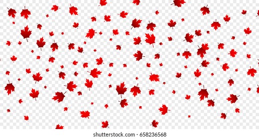 Canada Day maple leaves background. Falling red leaves for Canada Day 1st July.