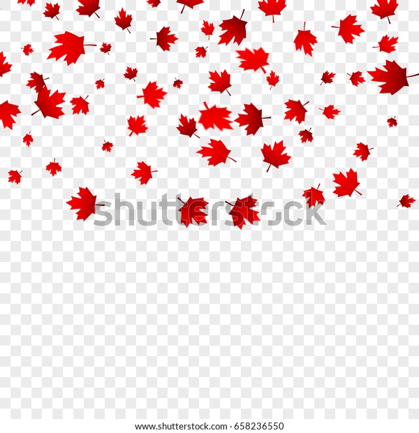 加拿大日枫叶背景 落红叶为加拿大日7 月1 日 库存矢量图 免版税