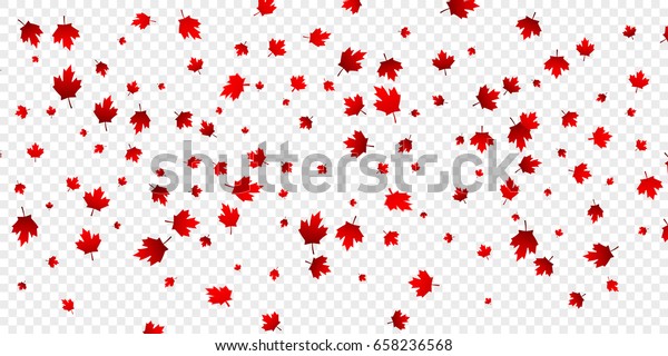 Canada Day Maple Leaves Background Falling Stock Vector (Royalty Free ...