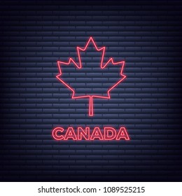 Canada Day. Neon glowing sign of maple leaf and Canada typography