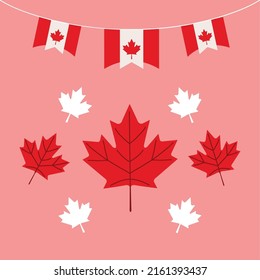 Canada Day Party Bunting And Leaf