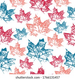 Canada Day. Pattern of prints of monochrome leaves on white background. maple.