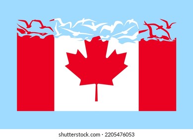 Canada flag with freedom concept, independent country idea, Canada flag transforming into flying birds vector, sovereignty metaphor, flat design