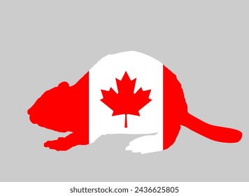 Canada flag over beaver vector silhouette illustration isolated on background. Emblem of Canada over national animal. North America territory. Canadian banner patriotic symbol. Cute pet rodent.