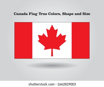 Canada flag true colors, shape and size in vector.