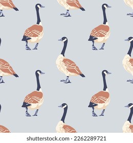 Canada geese. Color vintage style birds moving backwards. Seamless pattern. Hand-drawn graphic design. Vector illustration.