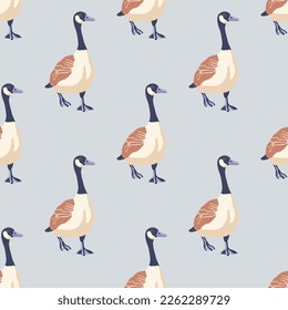 Canada geese. Color vintage style birds. Seamless pattern. Hand-drawn graphic design. Vector illustration.