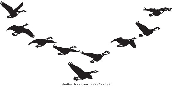 Canada Geese flying in V-form vector illustration