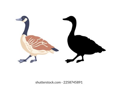 Gansos de Canadá. Dos pájaros. La silueta negra y el pájaro color vintage. Ilustración vectorial.