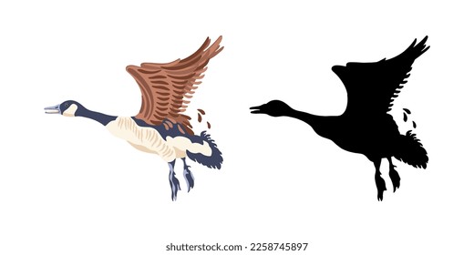 Gansos de Canadá. Dos pájaros voladores. La silueta negra y el pájaro color vintage. Ilustración vectorial.