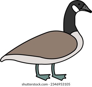 Canada goose goose beak Canadian bird Outline