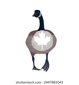 Canada goose bird with Canadian flag maple leaf on its chest. Vector isolated illustration.