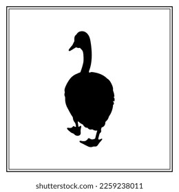 Canada goose. Black bird silhouette. Vector illustration.
