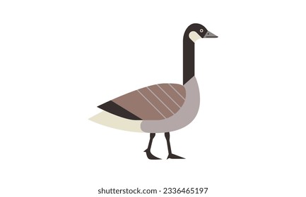 ilustración vectorial de estilo plano canada goose (Branta canadensis)