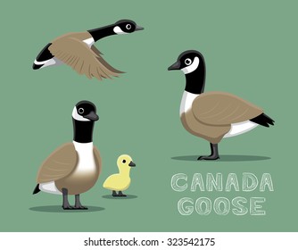 Canada Goose Cartoon Vector Illustration