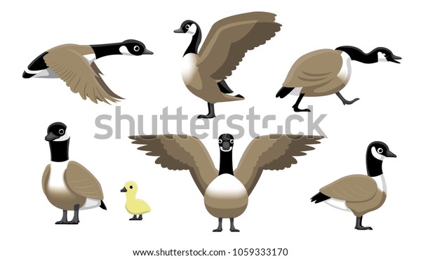 Canada Goose\
Flying Cartoon Vector\
Illustration