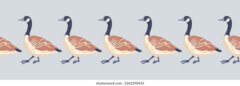 Canada goose. Seamless border. English style pattern. Vintage style color walking birds. Vector illustration.