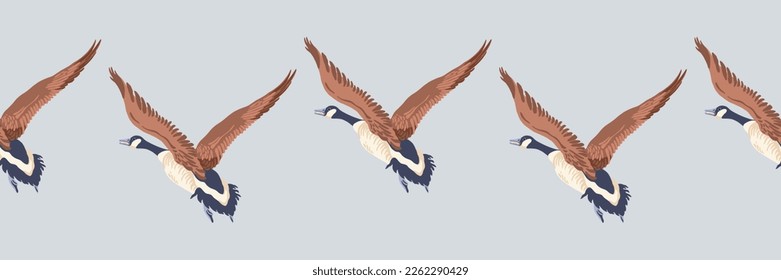 Canada goose. Seamless border of flying geese. English style pattern. Vintage style color birds. Vector illustration.