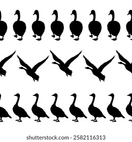 Canada goose. Seamless border set. Three black silhouettes. Vintage set of birds. Vector illustration