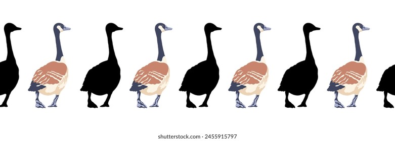 Canada goose. Seamless borders. Pattern of vintage style colored illustration and black silhouettes of birds. Vector illustration of geese walking back.