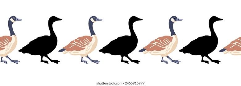 Canada goose. Seamless borders. Pattern of vintage style colored illustration and black silhouettes of walking birds. Vector illustration of geese.