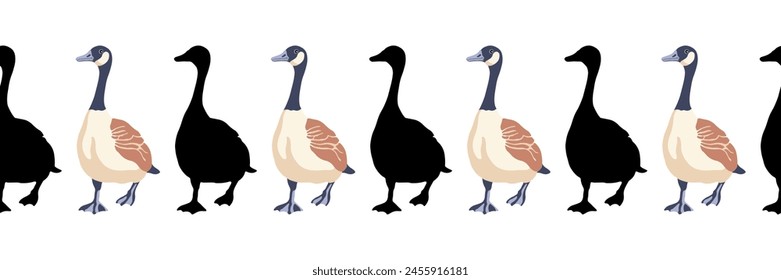 Canada goose. Seamless borders. Pattern of vintage style colored illustration and black silhouettes of birds walking forward. Vector illustration of geese.