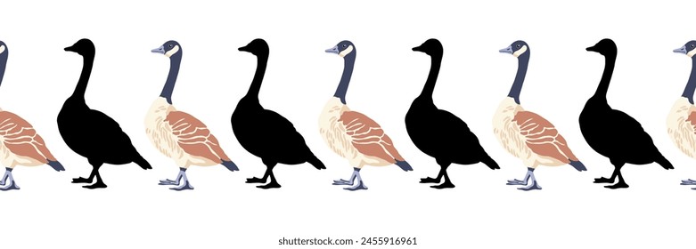 Canada goose. Seamless borders. Pattern of vintage style colored illustration and black silhouettes of birds. Vector illustration of geese.