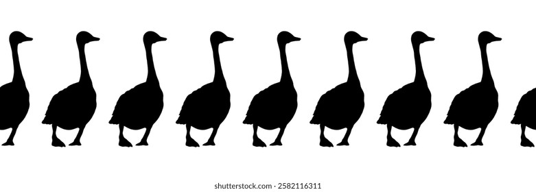 Canada goose. Seamless borders. Pattern of black silhouettes of birds. Vector illustration of geese walking back.