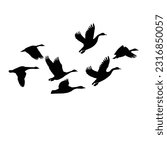 Canada goose silhouette design. wild duck flying in group.