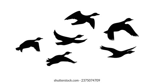 Canada goose silhouette design. wild duck flying in group.