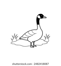 Canada goose swimming pond line art vector illustration icon