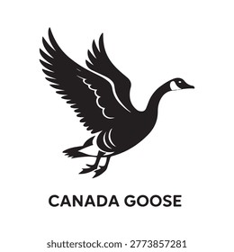Canada goose. Vector black silhouette. with white background

