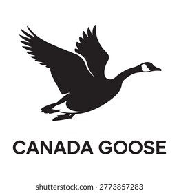 Canada goose. Vector black silhouette. with white background
