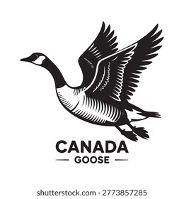 Canada goose. Vector black silhouette. with white background
