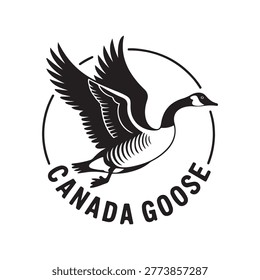 Canada goose. Vector black silhouette. with white background
