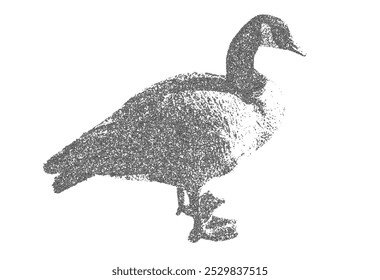 Canada Goose vector illustration. Trendy stippling photocopy effect