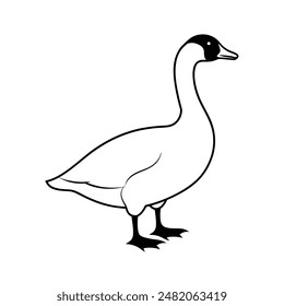 Canada goose vector line art black and white illustration